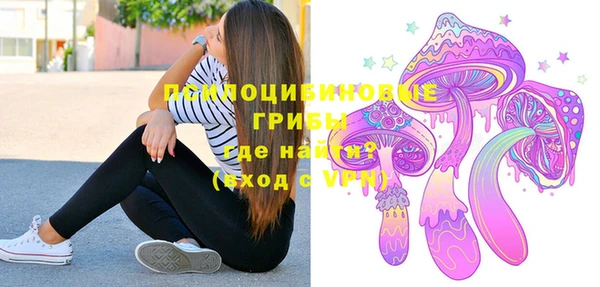 прущий лед Гусь-Хрустальный